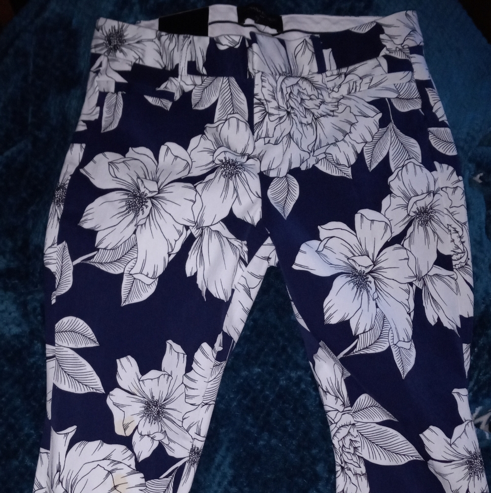 Banana Republic Capri's